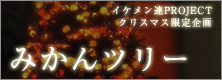 イケメン連PROJECTクリスマス限定企画「みかんツリー」